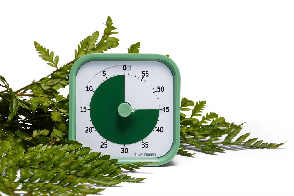 TimeTimer MOD Home Fern Green