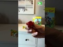 Tier auf Tier 