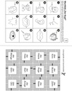 Erste Wörter in Wortfeldern PDF