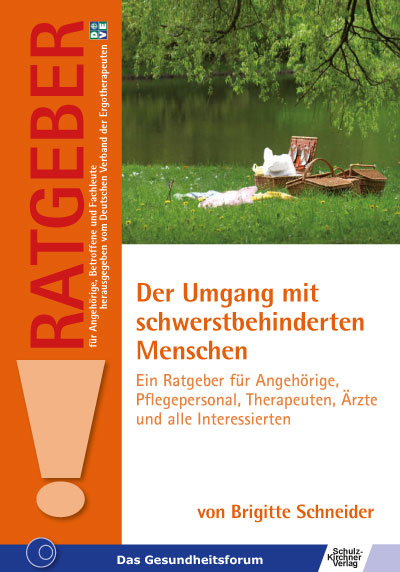 Umgang mit schwerst-behinderten ... E-Book
